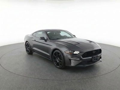 2019 Ford Mustang EcoBoost