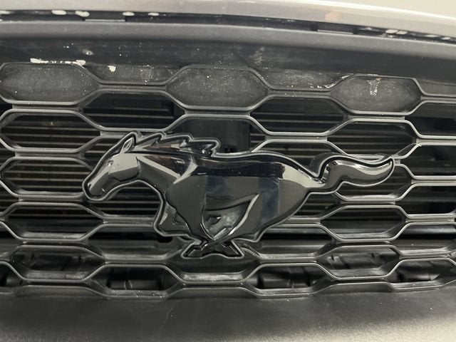 2022 Ford Mustang EcoBoost