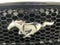 2022 Ford Mustang GT Premium Convertible