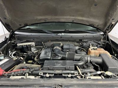 2010 Ford F-150 XL