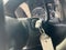 2016 Chevrolet Express Cutaway 3500 3500