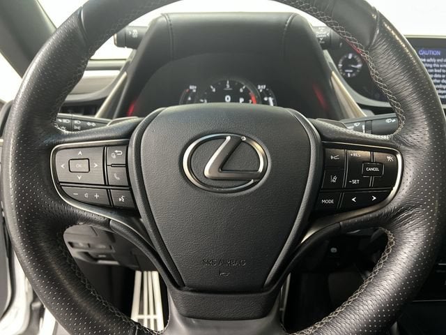2019 Lexus ES 350 F SPORT