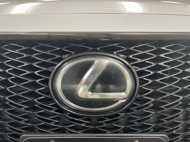 2019 Lexus ES 350 F SPORT